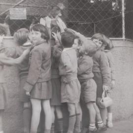 A trip to the zoo: 1964