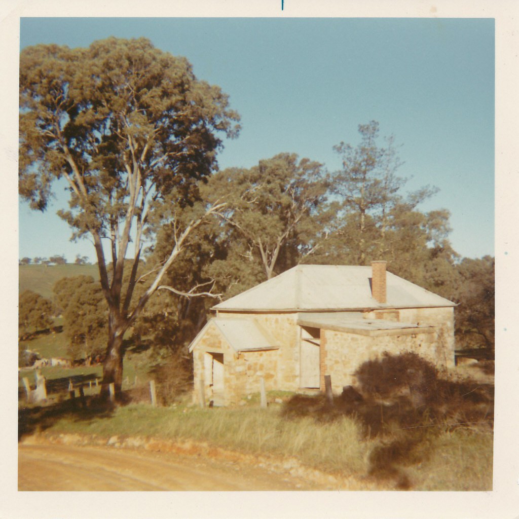 Precolumb School, One Tree Hill