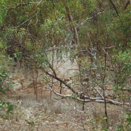 Lady Alice Mine ruins