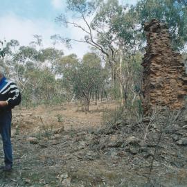 Lady Alice Mine ruins