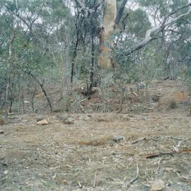 Lady Alice Mine ruins