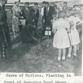 Grove of Nations: 1959