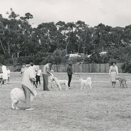 Dog Obedience Club: 1964
