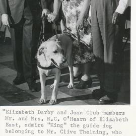 Admiring "King" the guide dog