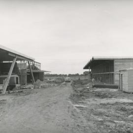 Elizabeth Town Centre : 1960