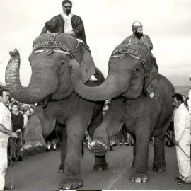 Elizabeth Lions Club Fundraiser: 1963