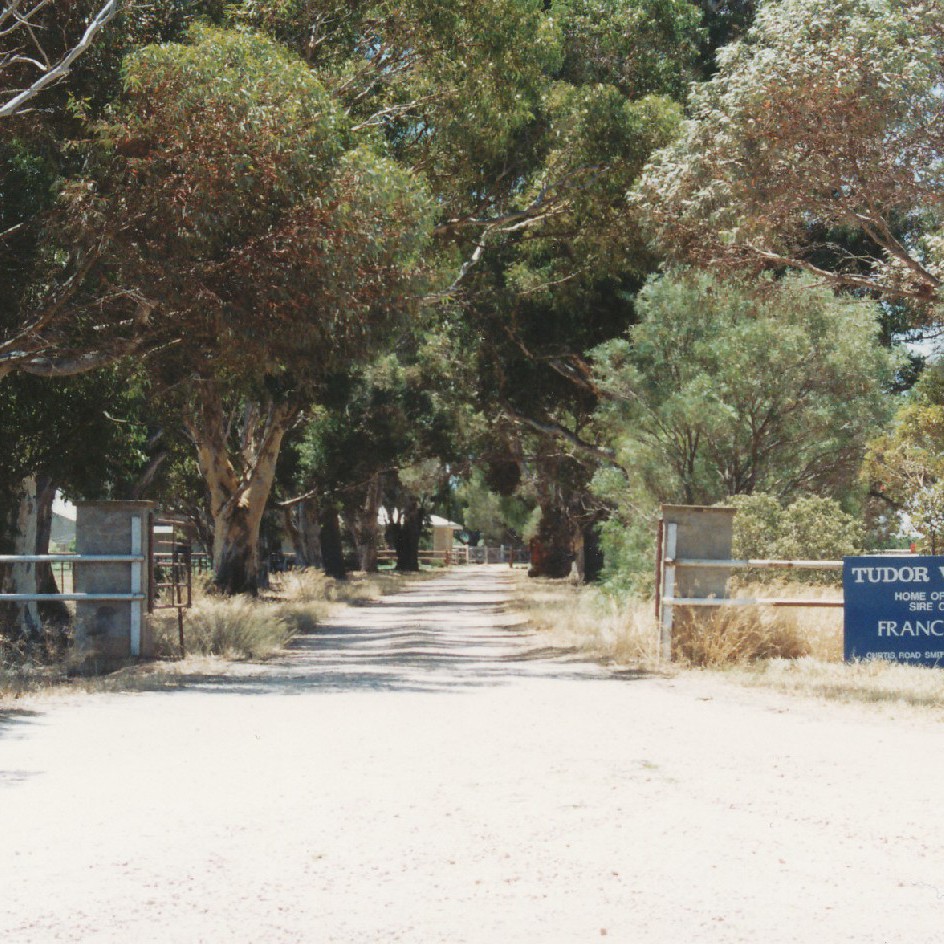 Tudor Vale Farm, Munno Para West