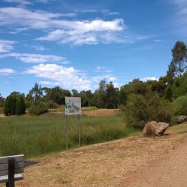 Olive Grove Elizabeth Park: 2014