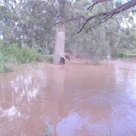 Blake's Road, Virginia in flood: 2010
