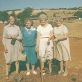 Trefoil Guide Tree Planting