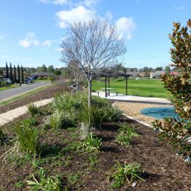 Knightsbridge Reserve