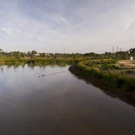 Munno Para Wetlands: 2015