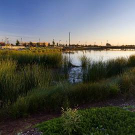 Munno Para Wetlands: 2015