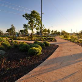 Munno Para Wetlands: 2015