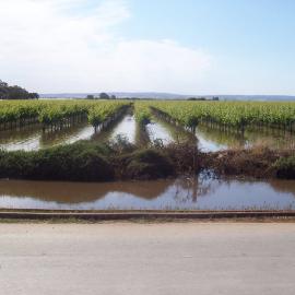 Virginia Floods: 2005