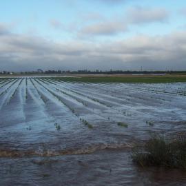 Virginia Flood : 2005