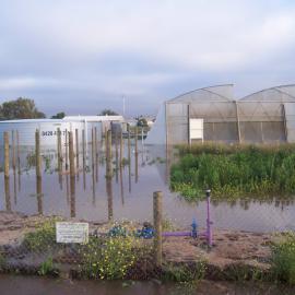 Flooding at Virginia: 2005