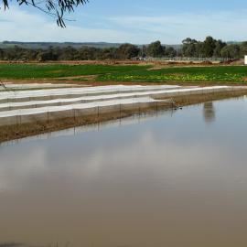 Stebonheath Wetlands Munno Para: 2009