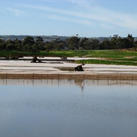 Stebonheath Wetlands Munno Para: 2009