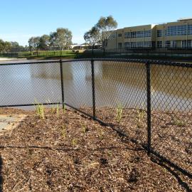 Stebonheath Wetlands Munno Para: 2009