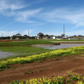 Stebonheath Wetlands Munno Para: 2009