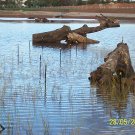 Stebonheath Wetlands Munno Para: 2009