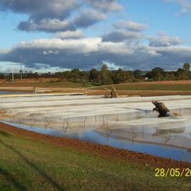 Stebonheath Wetlands Munno Para