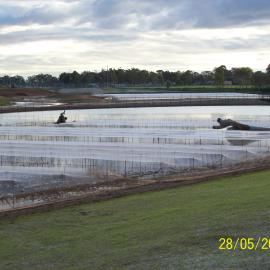 Stebonheath wetlands, Munno Para: 2009