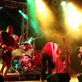 Elizapalooza Music Festival: 2009