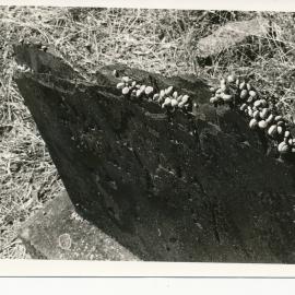 Little Para Wesleyan Cemetery, Hillbank: 1979