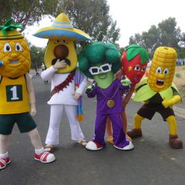 Playford Christmas Pageant: 2010