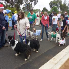 Munno Para Christmas Parade: 2010