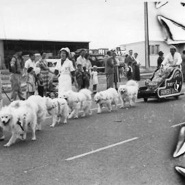 Elizabeth Birthday Celebrations