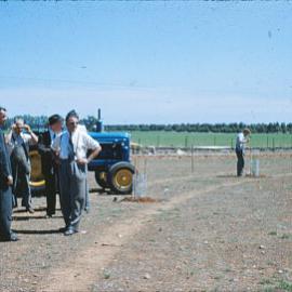 Elizabeth windbreak planting: c. 1956