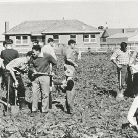Lyell McEwin Hospital: 1960