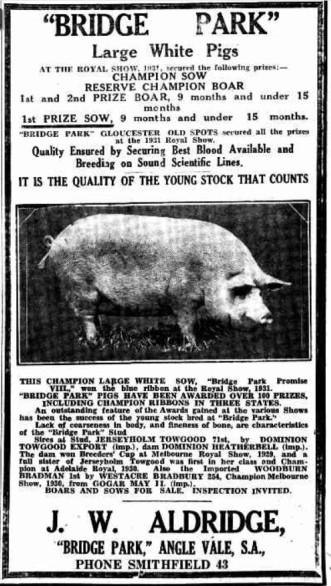 Advertisement for Bridge Park