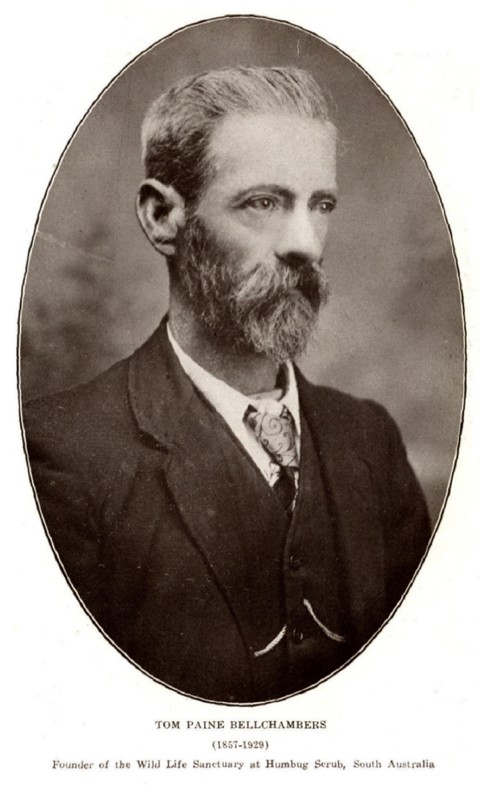 Thomas Paine Bellchambers