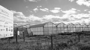 Virginia's Market Gardens