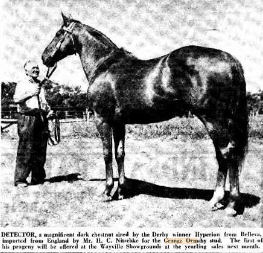 Grange Orsmby Horse Stud