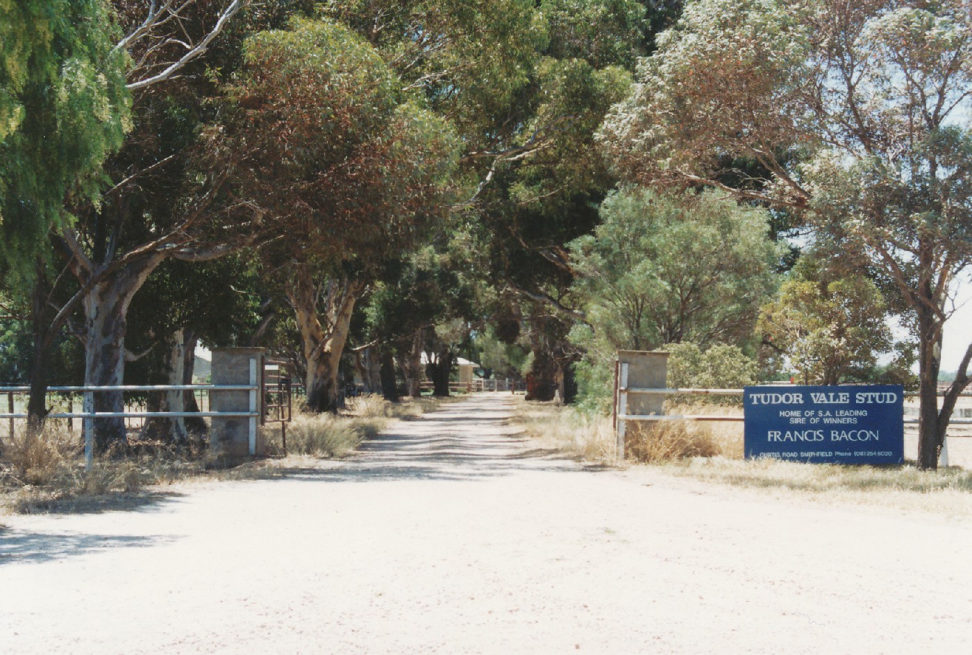 Tudor Vale Farm, Munno Para West